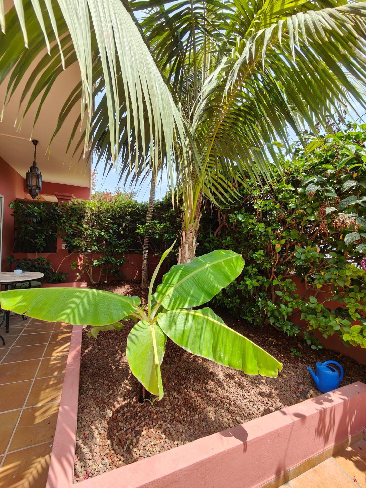 Hotel Don Candido Puerto de la Cruz  Exterior photo